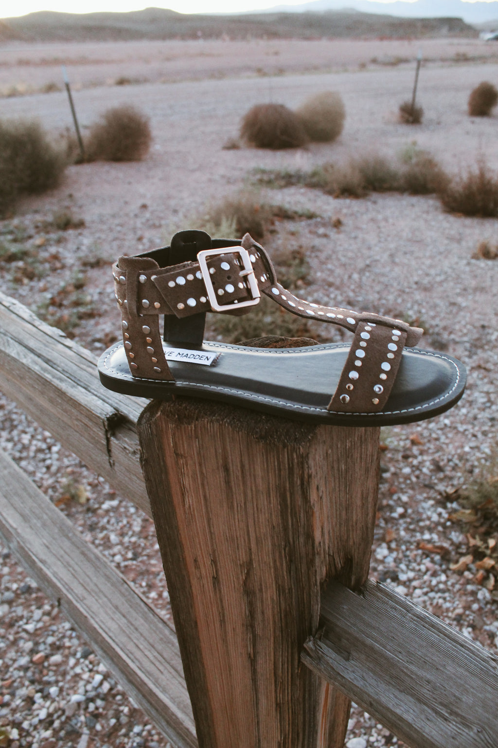 Studded Western Flat Sandals  Steve Madden