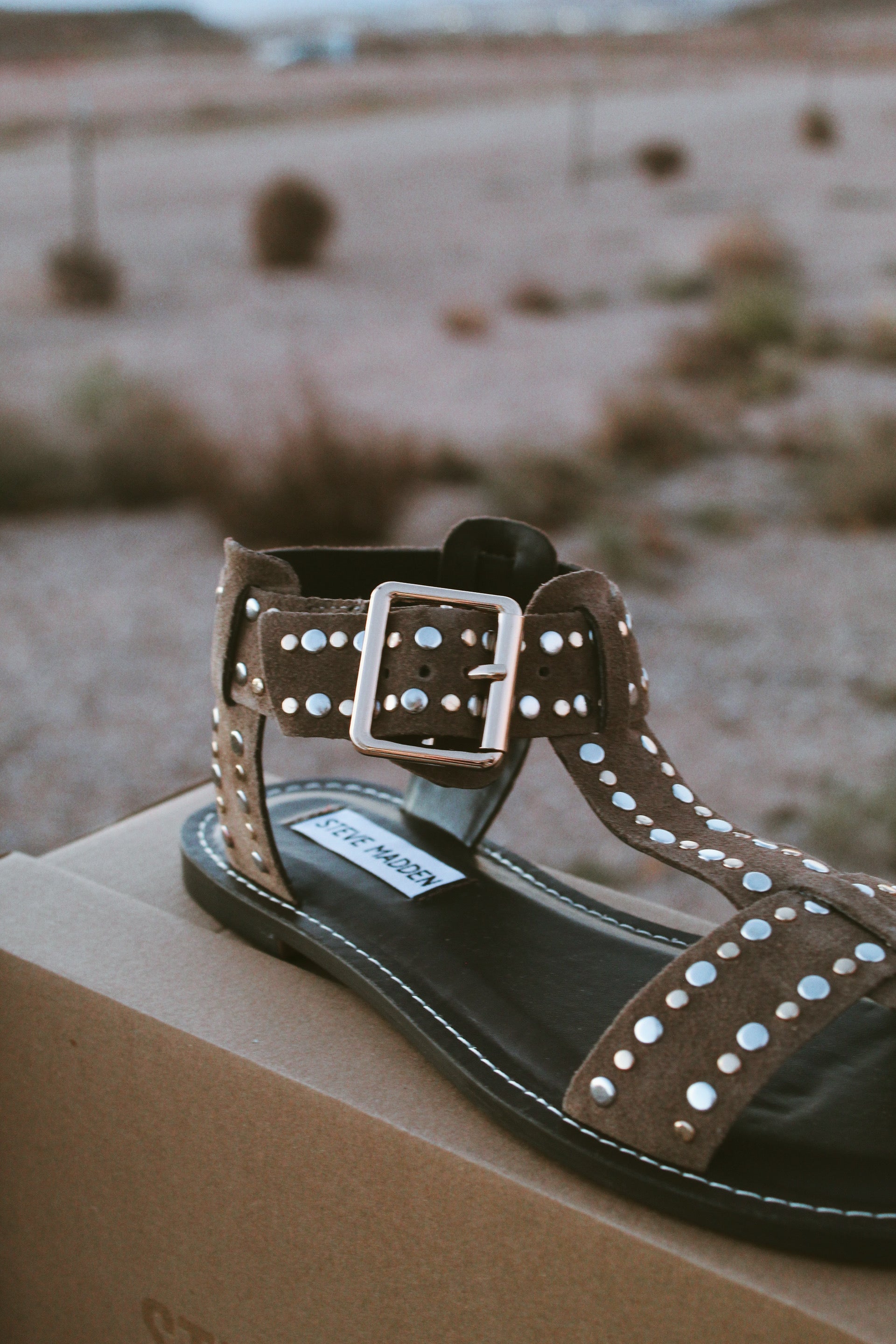 Studded Western Flat Sandals  Steve Madden